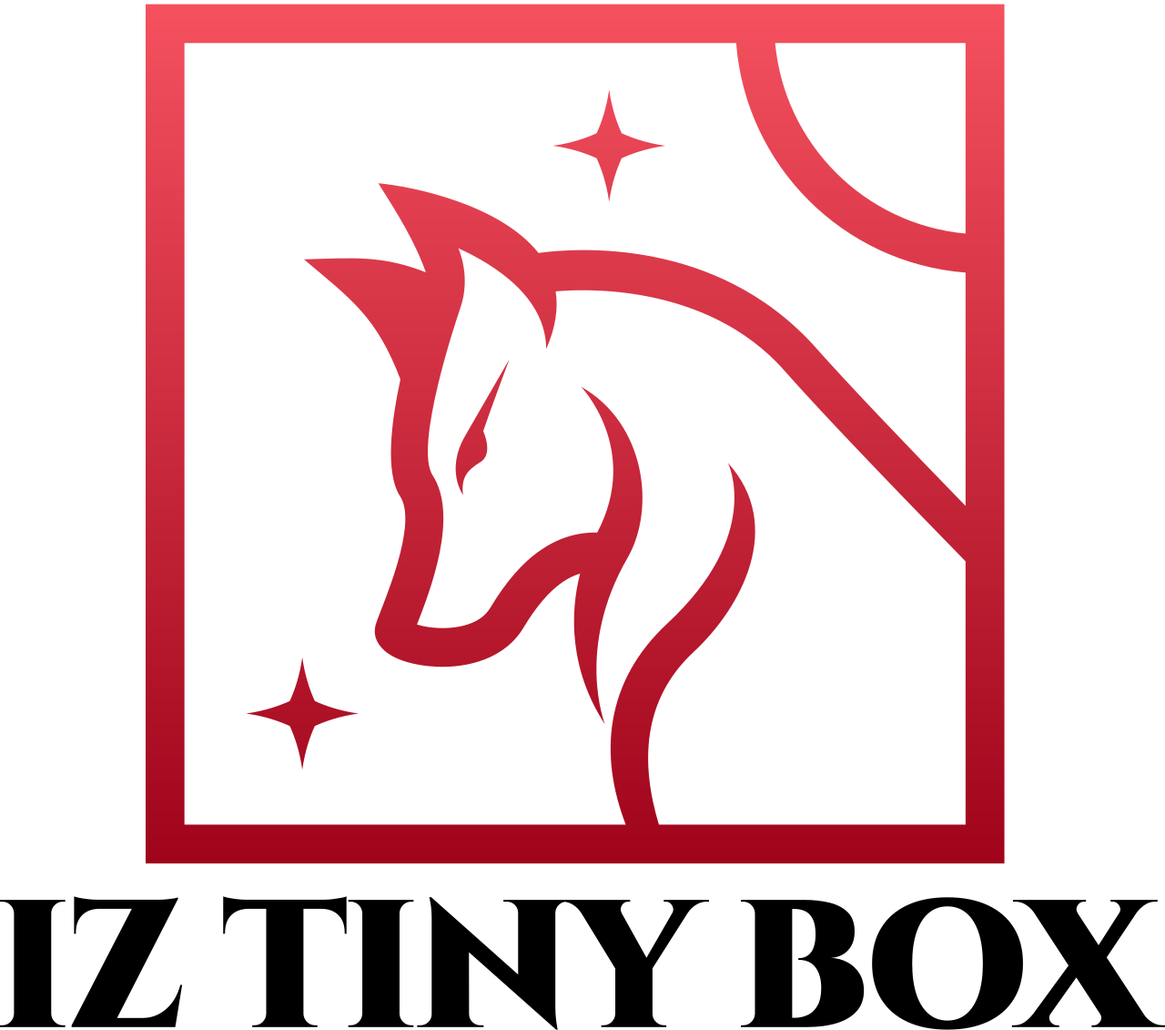 IzTinyBox